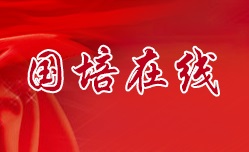国培在线技能查询